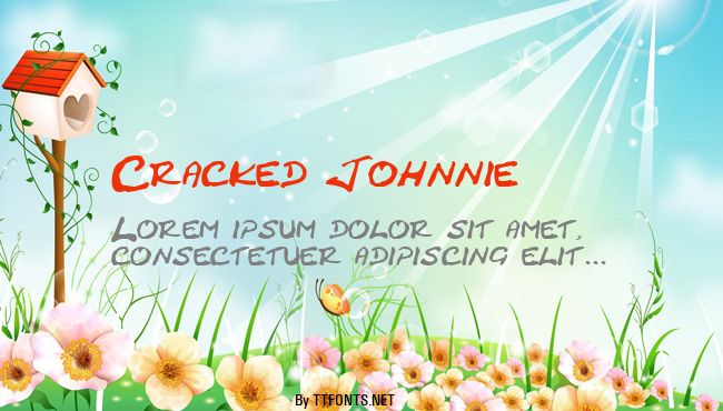Cracked Johnnie example